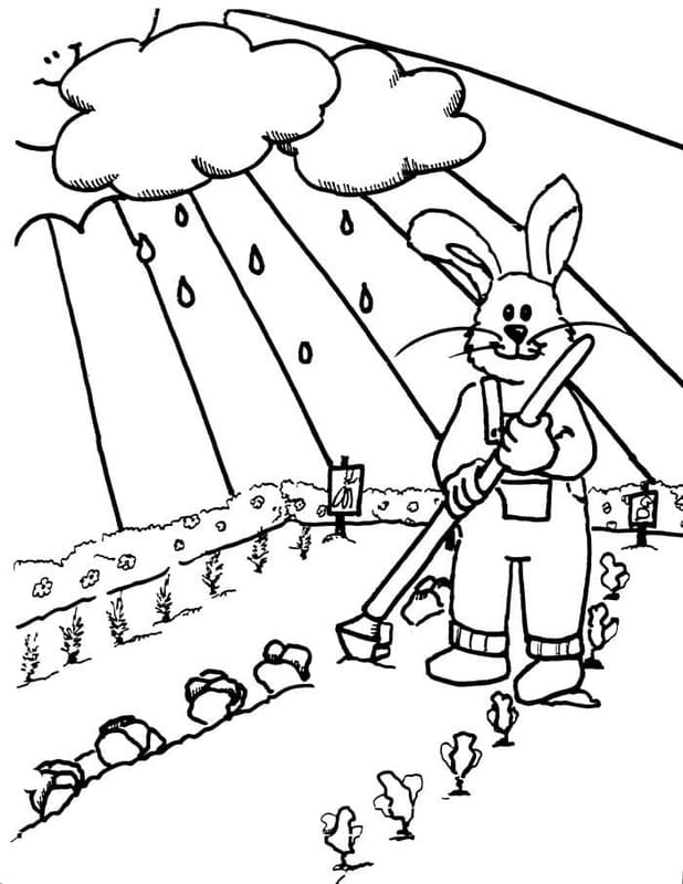 Dibujos de Dibujar Jardín imprimible para colorear