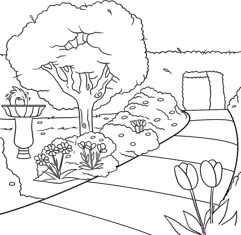 Dibujos de Dibujar Jardín para colorear