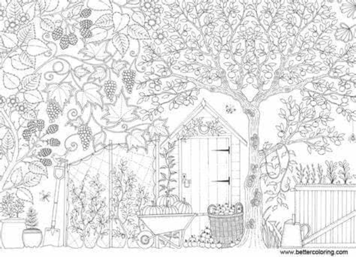 Dibujos de Dibujar Jardín sencillo en niños para colorear