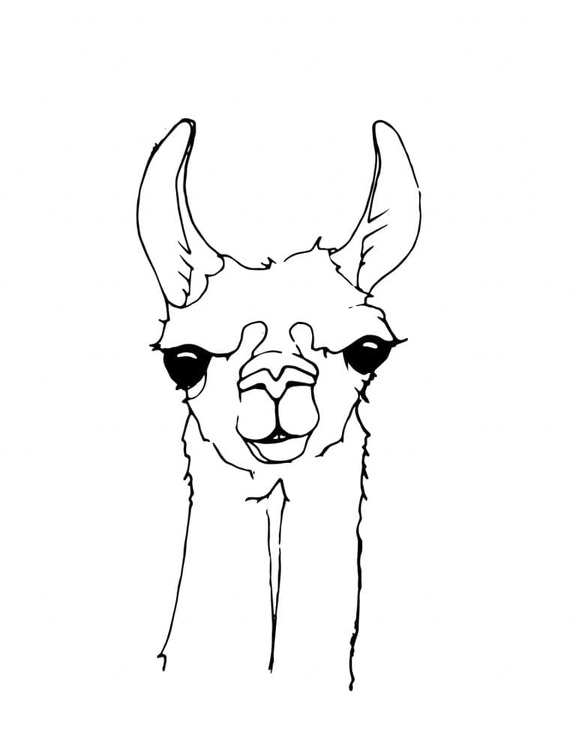 Dibujos de Dibujar la cabeza de una llama para colorear