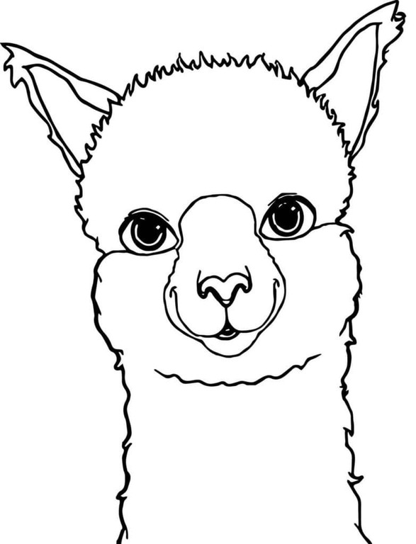 Dibujos de Dibujar la cara de una llama para colorear