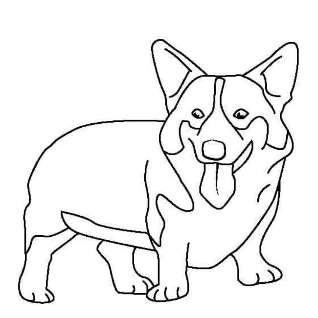 Dibujos de Dibujar la imagen de Corgi para colorear