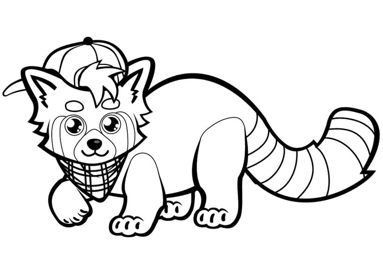 Dibujos de Dibujar la impresión del panda rojo para colorear