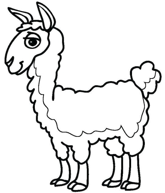 Dibujos de Dibujar llama animados para colorear