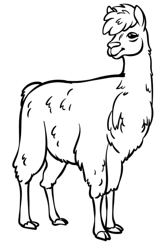 Dibujos de Dibujar Llama Gratis para colorear