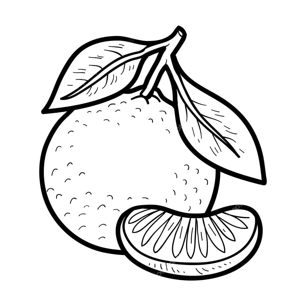 Dibujos de Dibujar Mandarina básico en niños para colorear
