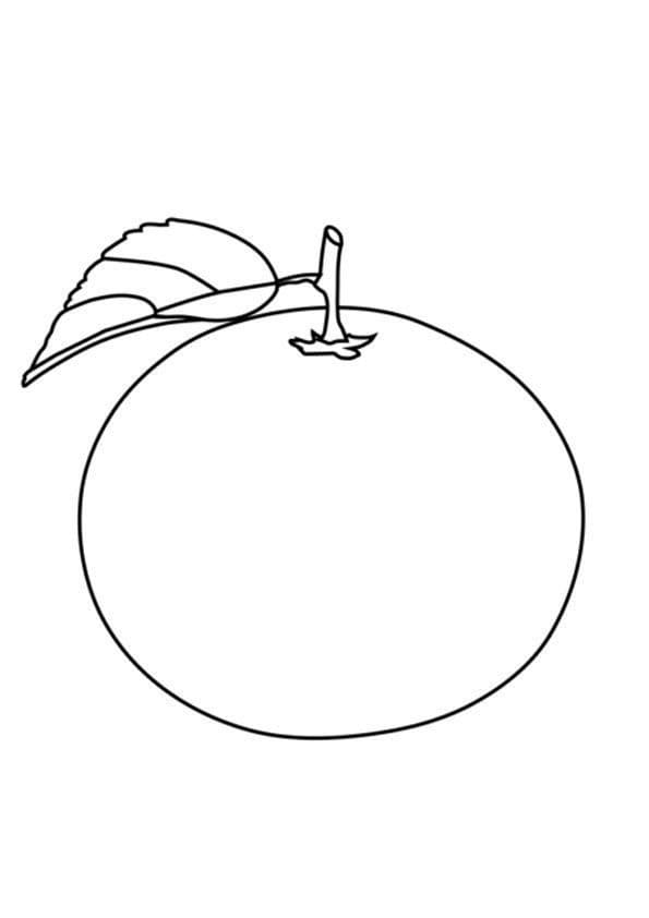 Dibujos de Dibujar Mandarina gratis para colorear