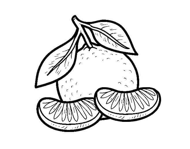 Dibujos de Dibujar Mandarina imprimible gratis para colorear