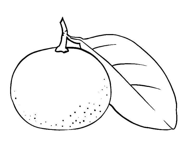 Dibujos de Dibujar Mandarina imprimible para colorear