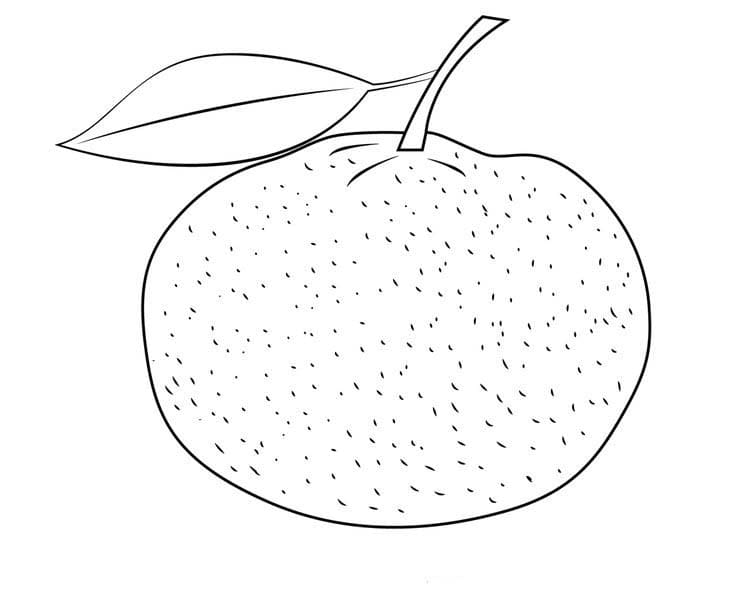 Dibujos de Dibujar Mandarina Imprimible para niños para colorear
