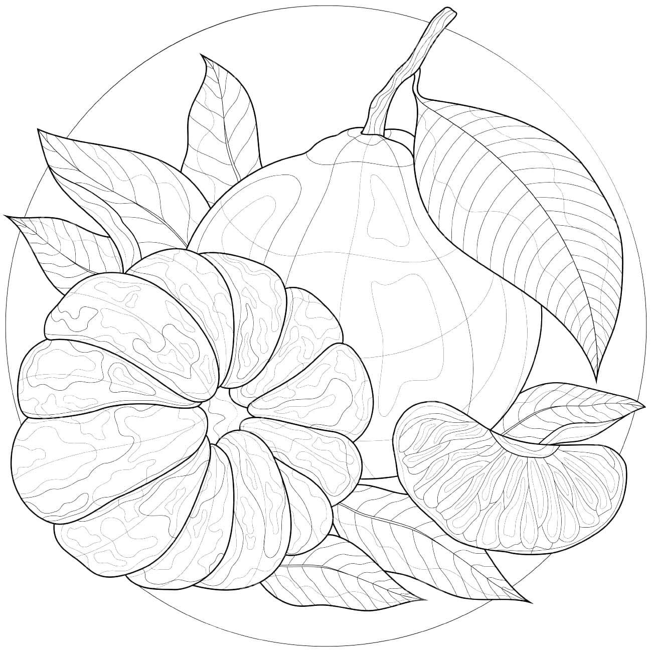 Dibujos de Dibujar Mandarina muy sencillo para colorear