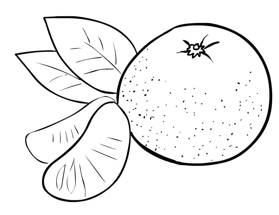 Dibujos de Dibujar Mandarina sencillo en niños para colorear