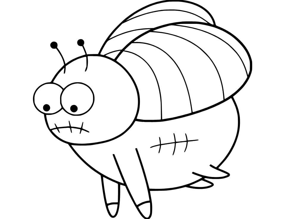 Dibujos de Dibujar Mosca gordo para colorear