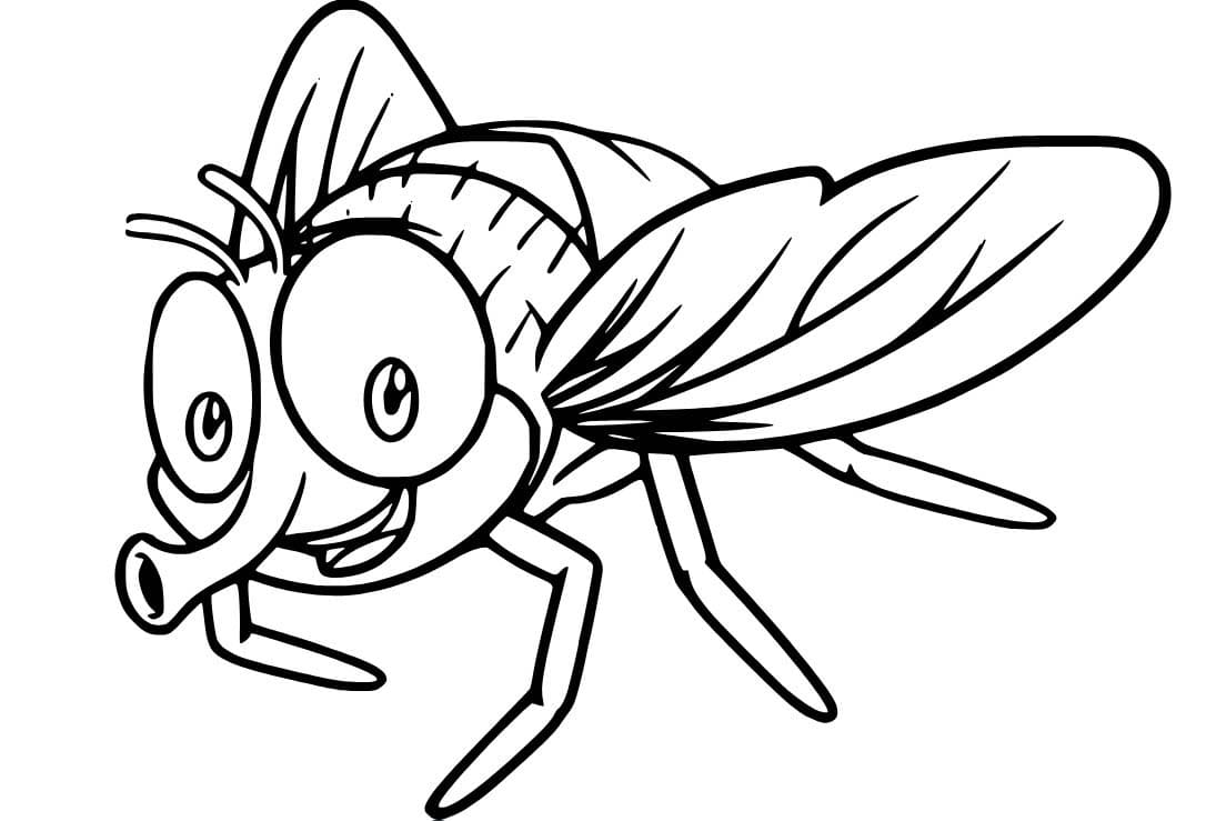 Dibujos de Dibujar Mosca sonriente para colorear