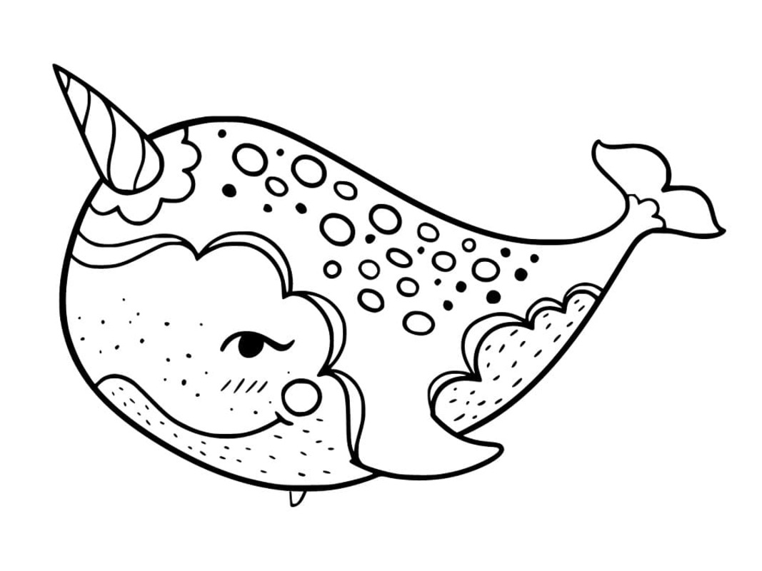 Dibujos de Dibujar Narval básico para colorear
