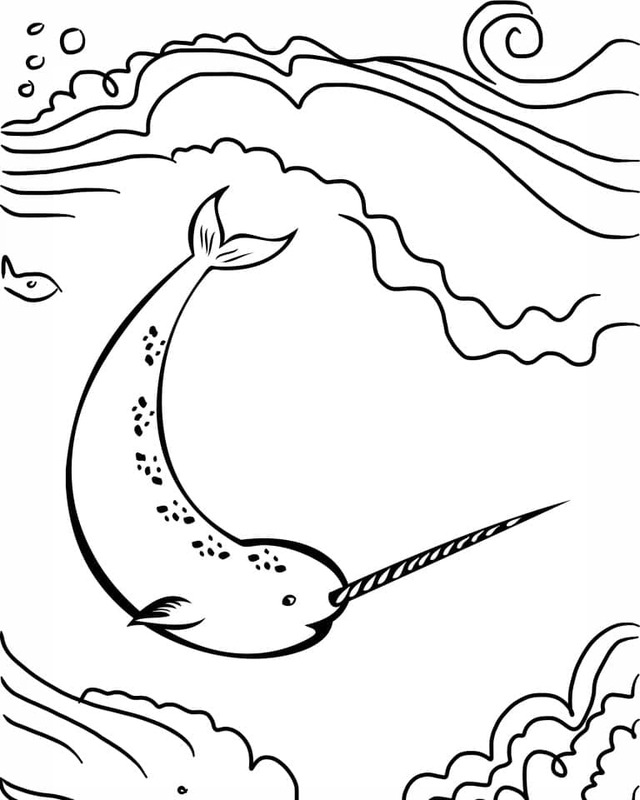 Dibujos de Dibujar Narval fácil gratuito para colorear