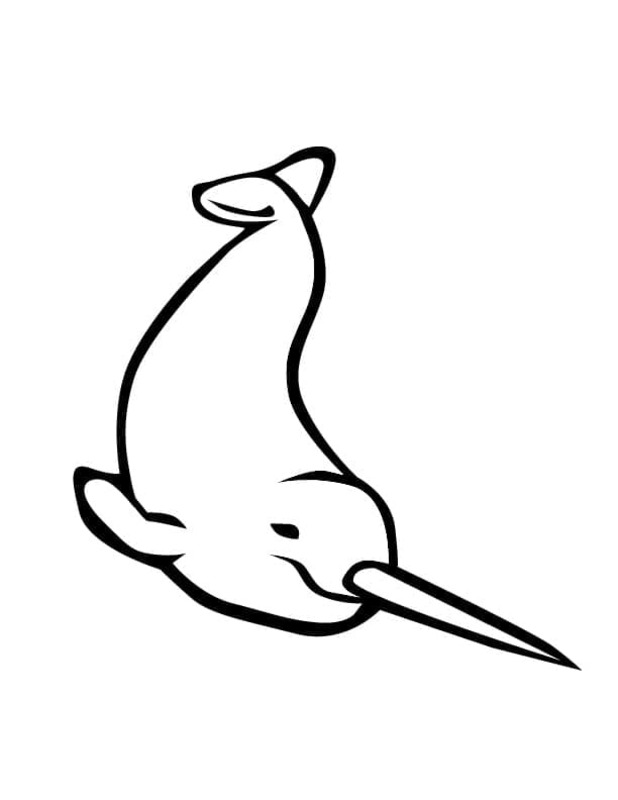 Dibujos de Dibujar Narval gratuito imprimible para colorear