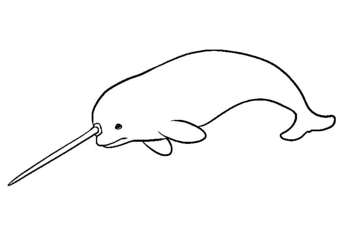 Dibujos de Dibujar Narval Sencillo gratuito para colorear