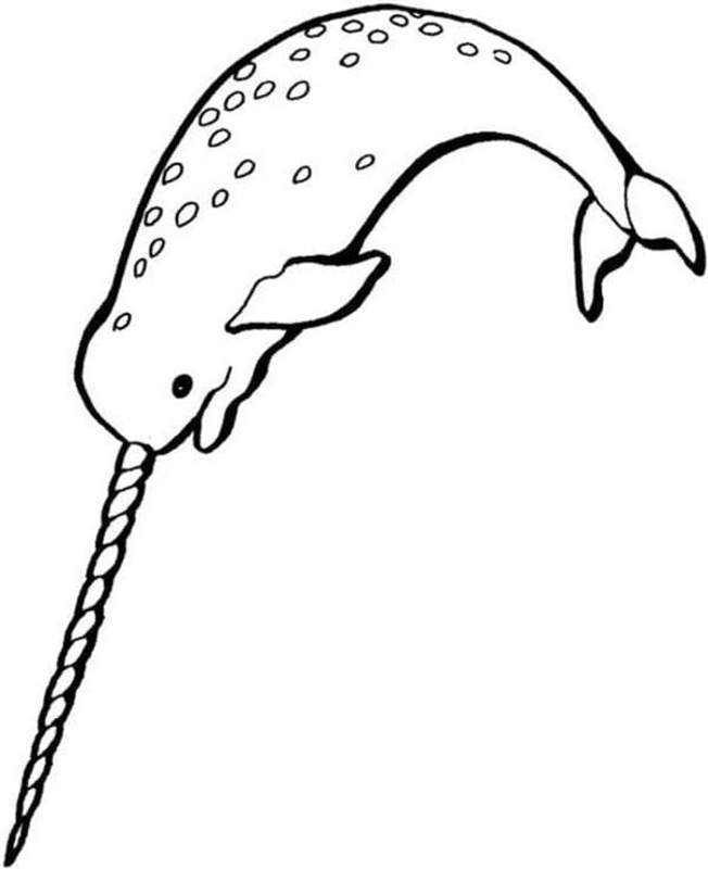 Dibujos de Dibujar Narval Sencillo imprimible para colorear