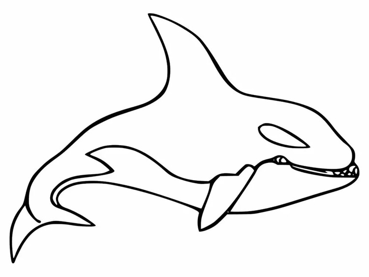 Dibujos de Dibujar Orca fácil en niños para colorear