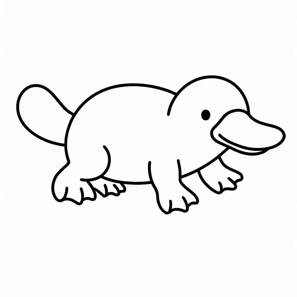Dibujos de Dibujar Ornitorrinco 3 para colorear