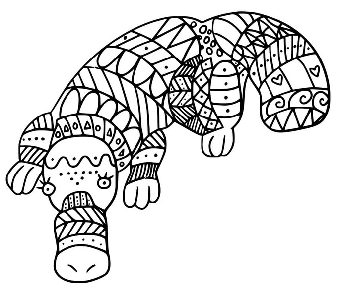 Dibujos de Dibujar Ornitorrinco básico para colorear