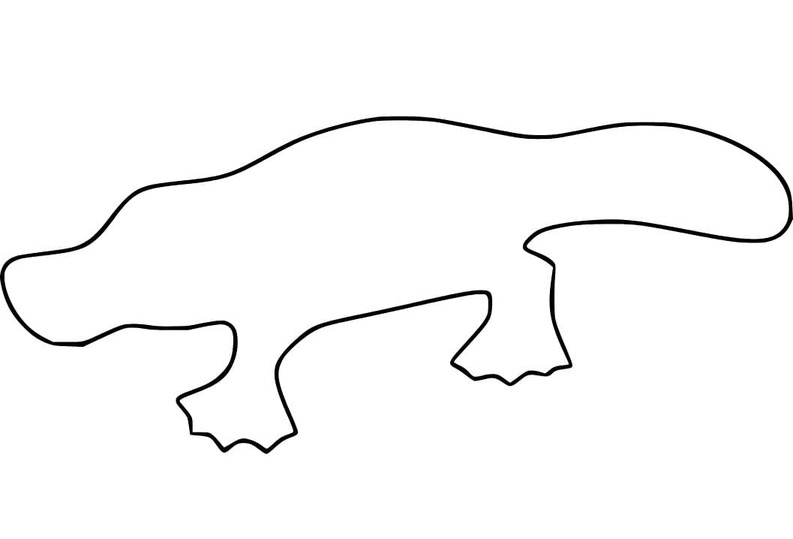 Dibujos de Dibujar Ornitorrinco en niños para colorear