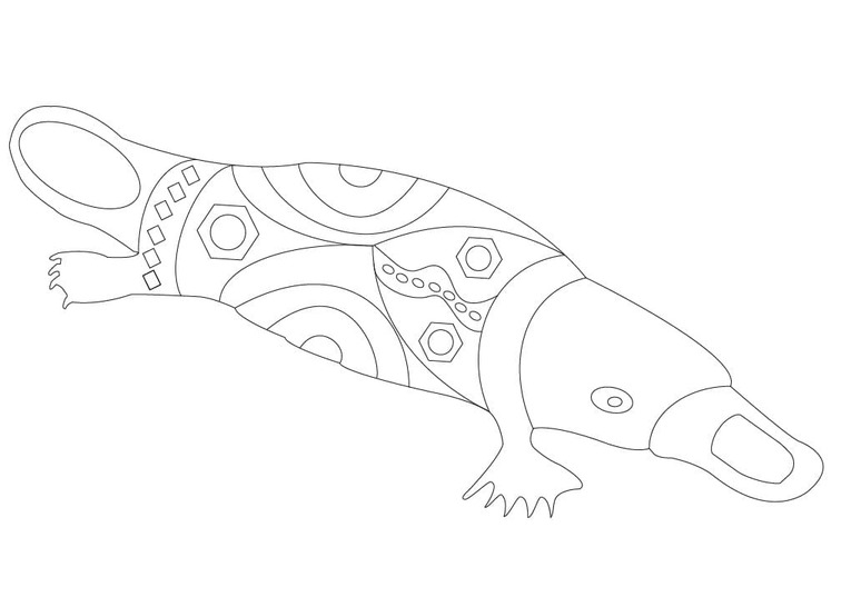 Dibujos de Dibujar Ornitorrinco imprimible gratis para colorear