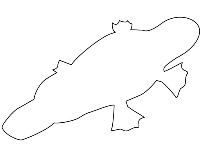 Dibujos de Dibujar Ornitorrinco imprimible para colorear