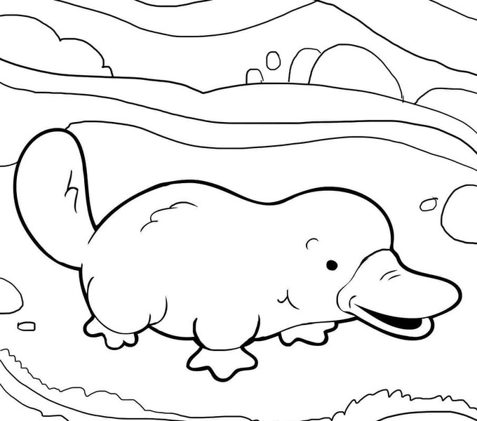 Dibujos de Dibujar Ornitorrinco sencillo en niños para colorear