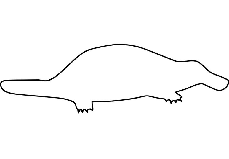 Dibujos de Dibujar Ornitorrinco sencillo para colorear