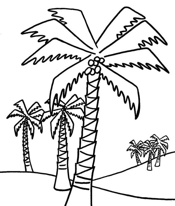 Dibujos de Dibujar Palmera básico para colorear