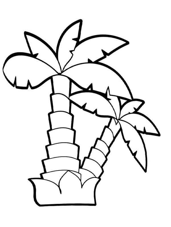 Dibujos de Dibujar Palmera fácil en niños para colorear