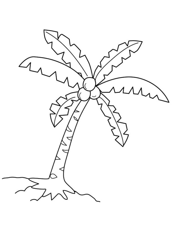 Dibujos de Dibujar Palmera gratis para colorear