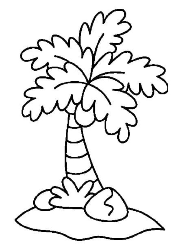 Dibujos de Dibujar Palmera Gratis para niños para colorear