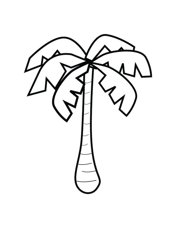Dibujos de Dibujar Palmera muy fácil para colorear