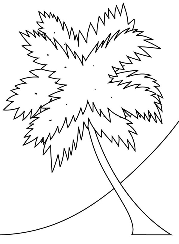 Dibujos de Dibujar Palmera muy sencillo para colorear