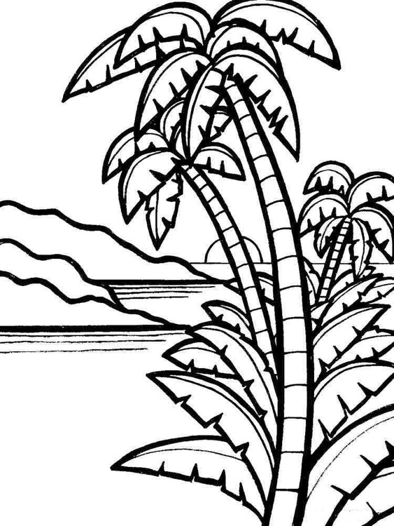 Dibujos de Dibujar Palmera Sencillo en niños para colorear