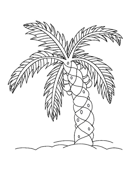 Dibujos de Dibujar Palmera sencillo para colorear