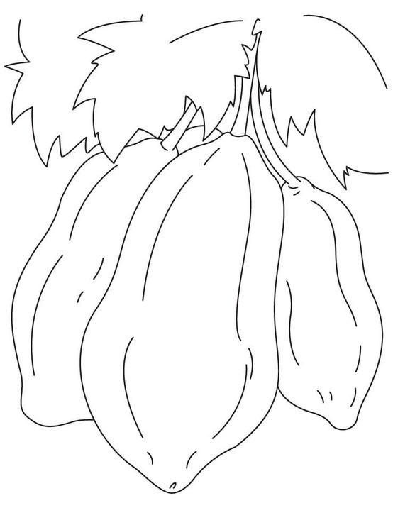 Dibujos de Dibujar Papaya muy Sencillo para colorear