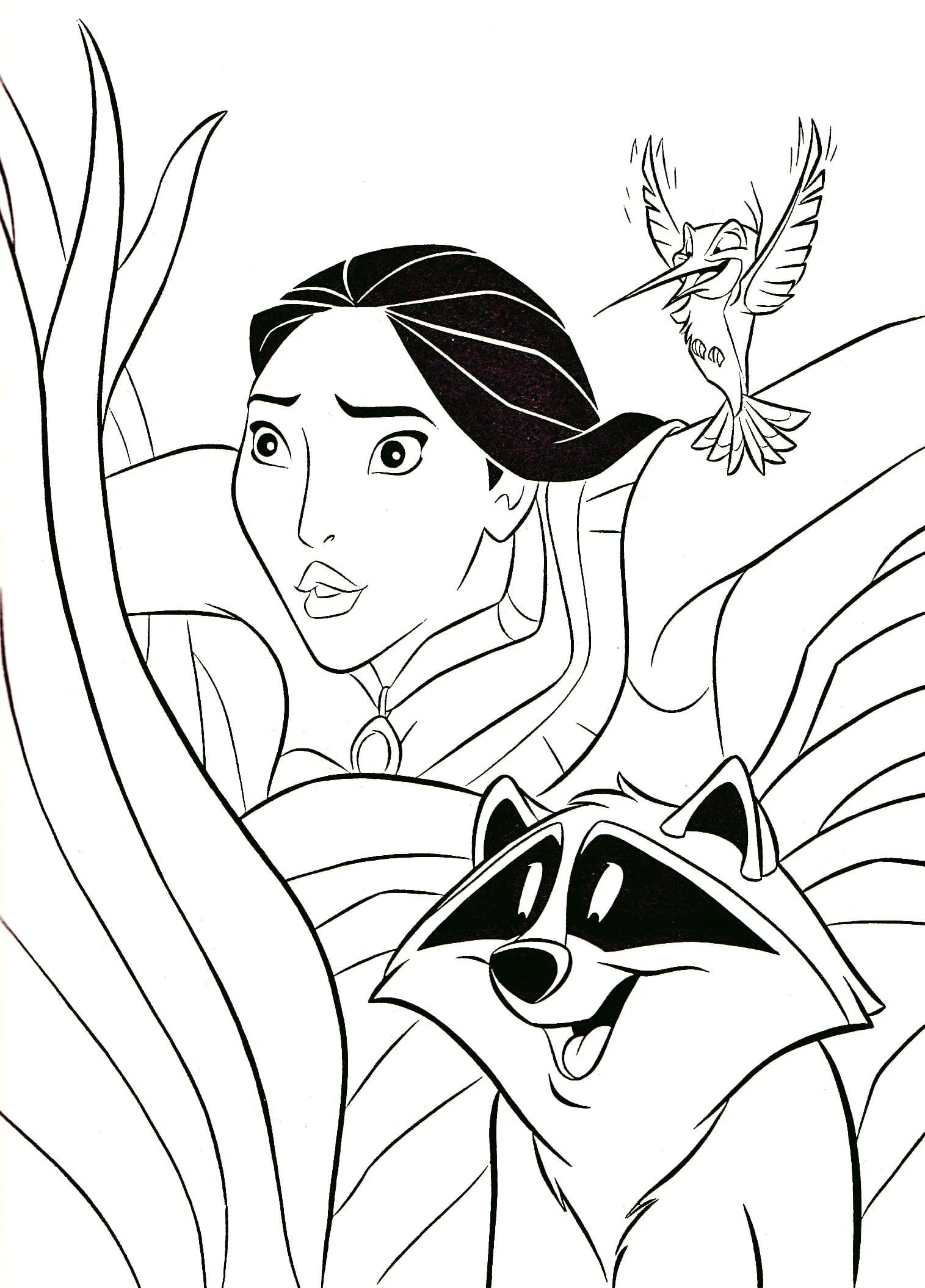 Dibujos de Dibujar Pocahontas 5 para colorear