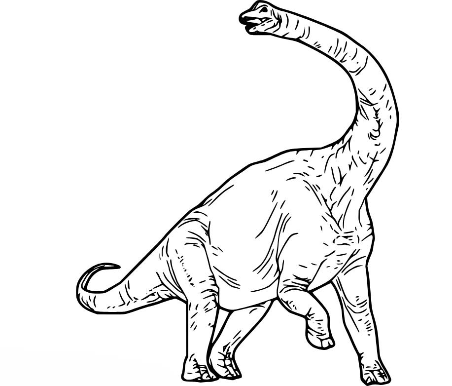 Dibujos de Dibujar Realista Braquiosaurio para colorear