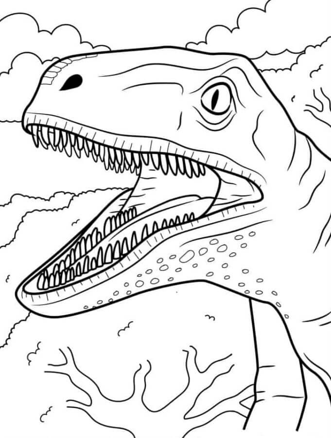 Dibujar retrato de Velociraptor para colorir