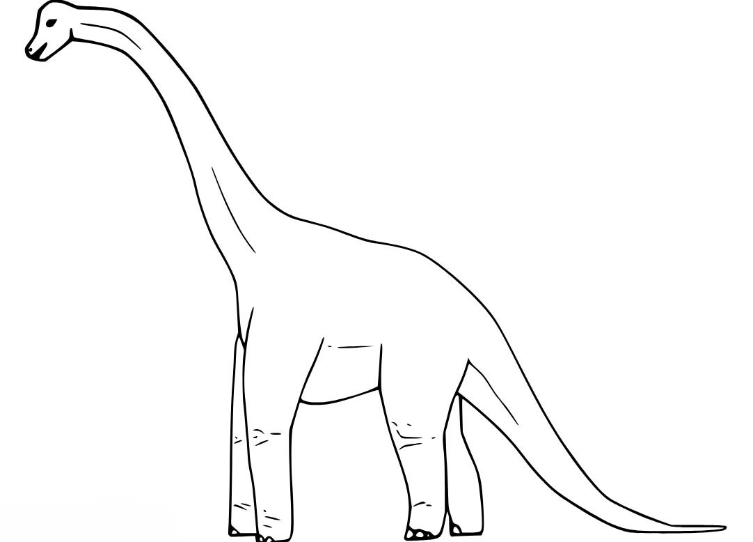 Dibujos de Dibujar simple Braquiosaurio para colorear