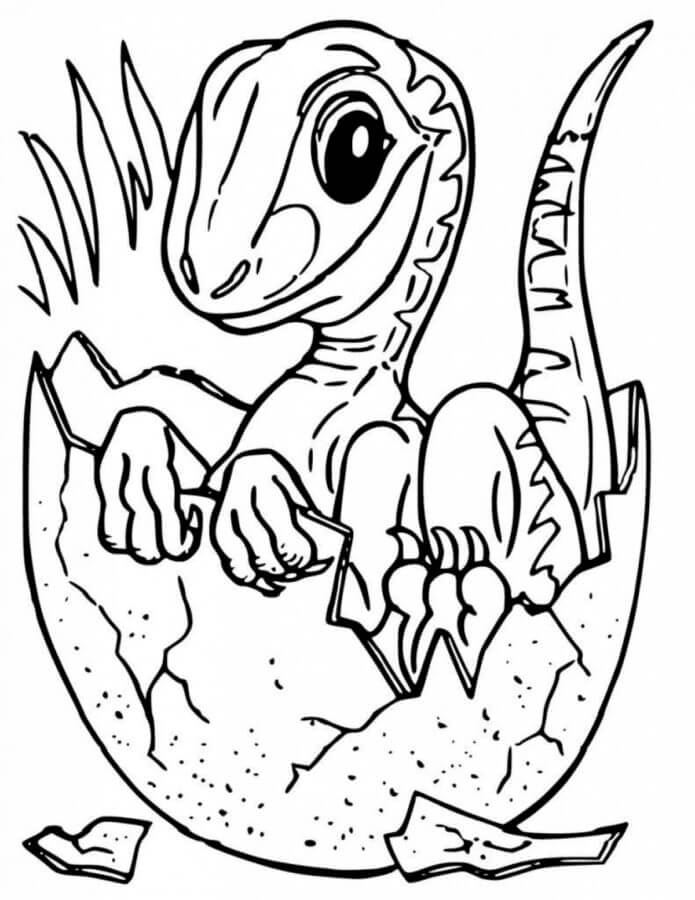 Dibujos de Dibujar un bebé Velociraptor en un huevo para colorear