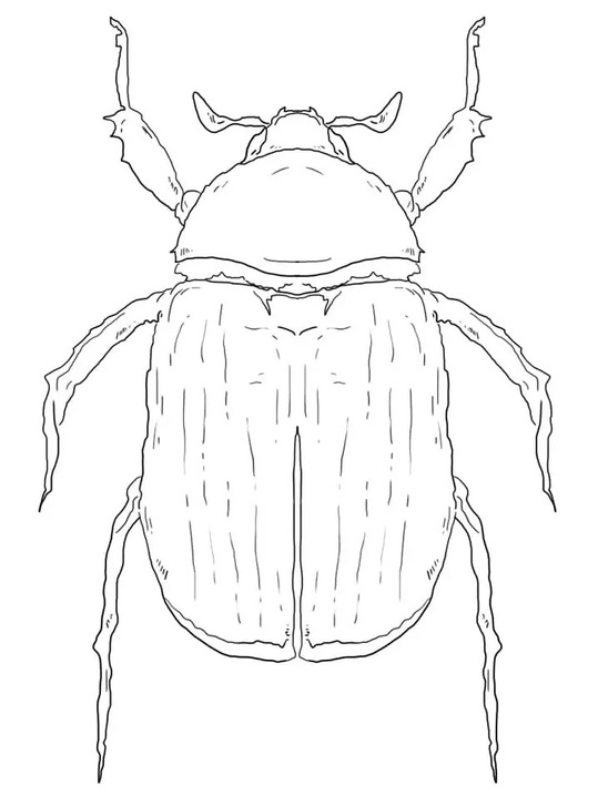 Dibujos de Dibujar un escarabajo verde para colorear