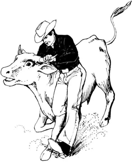 Dibujos de Dibujar un toro corcoveando para colorear