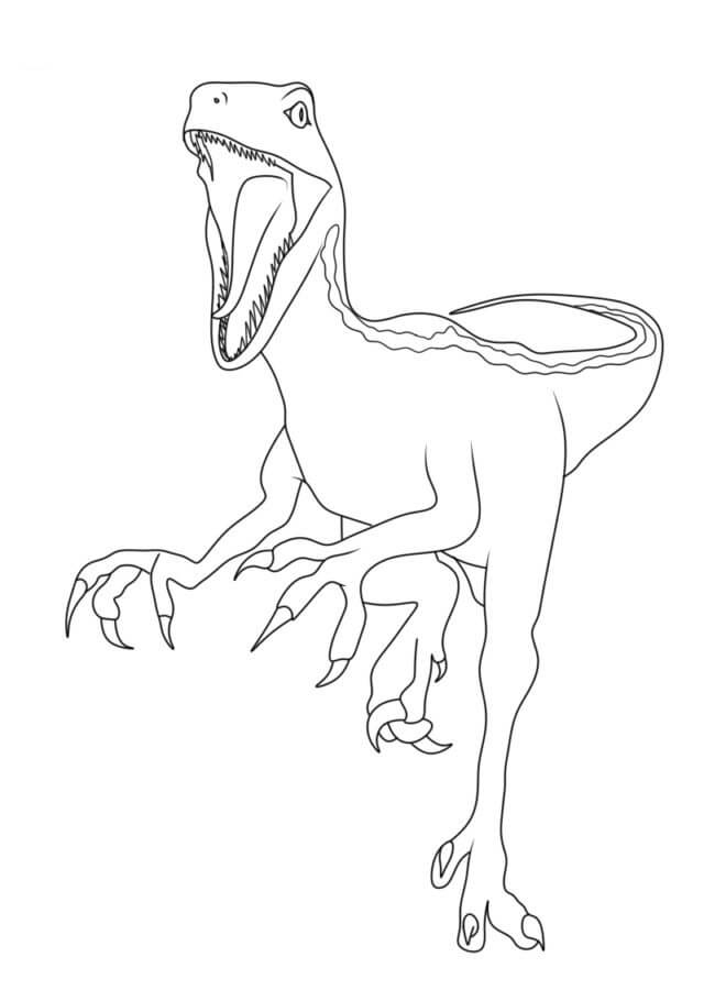 Dibujos de Dibujar un velociraptor simple para colorear