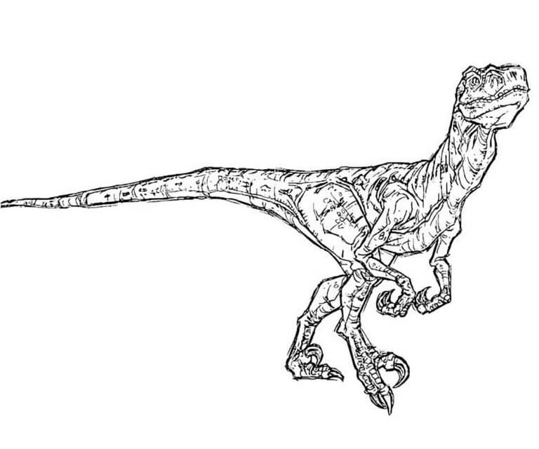 Dibujar Velociraptor fácil para colorir