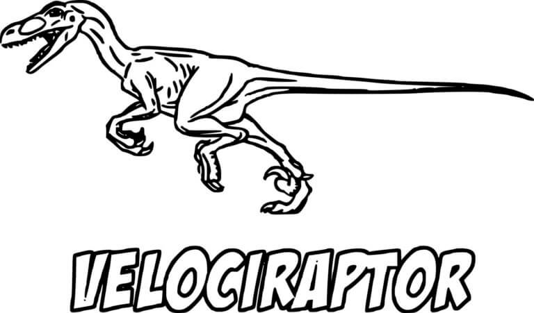 Dibujos de Dibujar Velociraptor genial para colorear